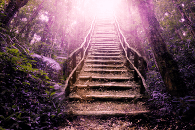 67-steg-till-ett-battre-liv105