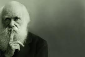 CharlesDarwin3
