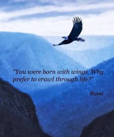 Rumi - You were born with wings.