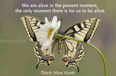 mindfulness-Thich