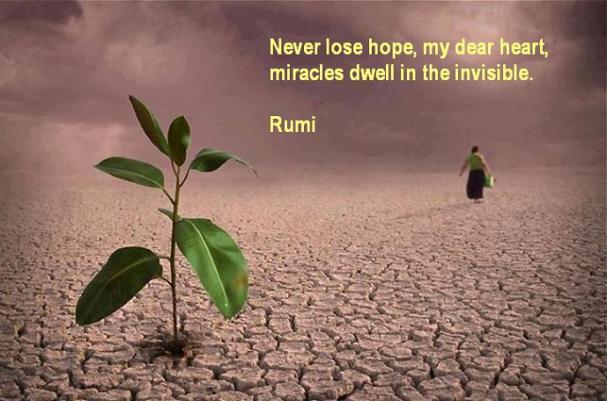 RUMI251