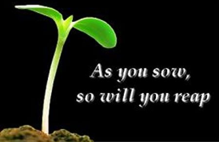 karma-1 (2018_04_22 08_49_25 UTC)