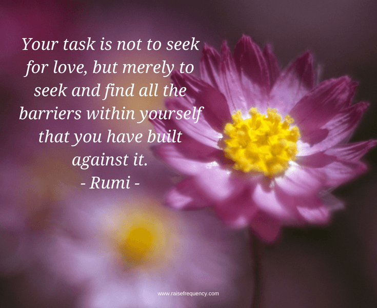 Finding-love-Rumi (2019_11_28 17_29_35 UTC)